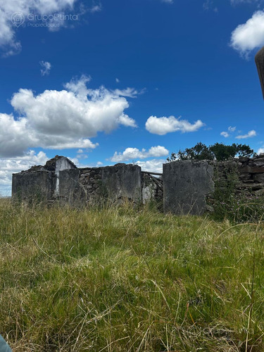 Campo En Venta - Rocha