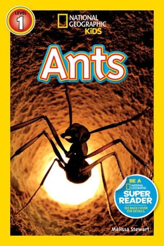 Libro En Inglés Edición De Bolsillo  Ants National