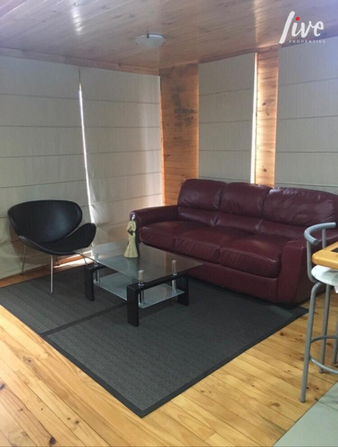 Hermoso Loft Amoblado Condominio Parque San Antonio Pichile