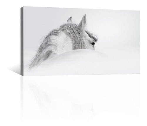 Cuadro Decorativo Animales Canvas Caballo Blanco En La Nieve