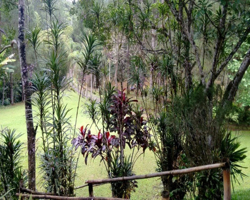 Imagem 24 de 30 de Sitio - St00043 - 32820299