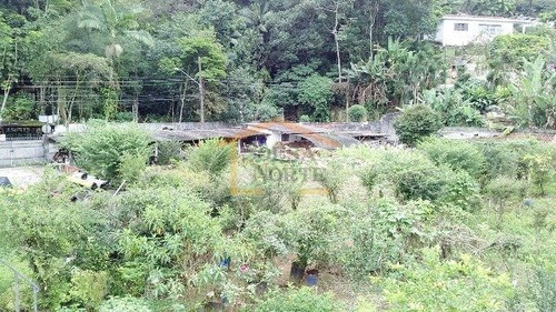 Imagem 12 de 15 de Chacara, Venda, Horto Florestal, Sao Paulo - 10725 - V-10725