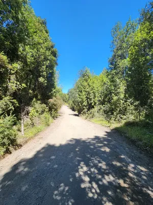 Parcela en venta
