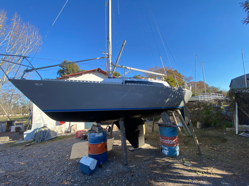Velero Dangelo D Angelo 24