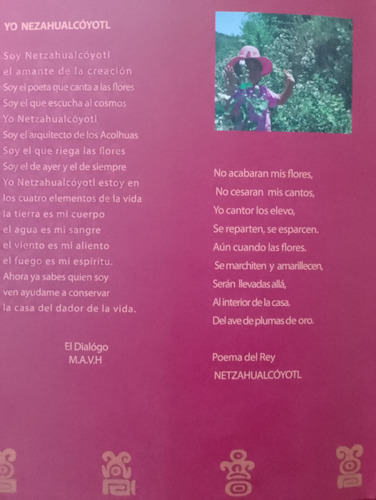 Flores Que Embellecen Los Jardines Del Rey Netzahualcoyotl