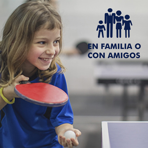 Juego De Ping Pong Todo En Uno, Incluye Red De Ping Pong