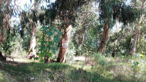 Imagen 3 de 5 de Terreno En Venta - Punta Del Este Marly
