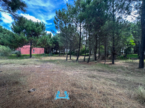 Venta Oportunidad Lote - 1354 Metros - Costa Esmeralda Barrio Residencial 1