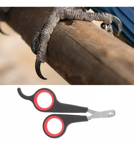 Cortaúñas For Tijeras De Uñas Mascotas,pájaros, Loros, Aseo