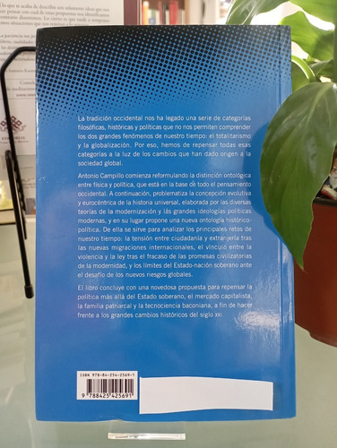 El Concepto De Lo Político En La Sociedad Global