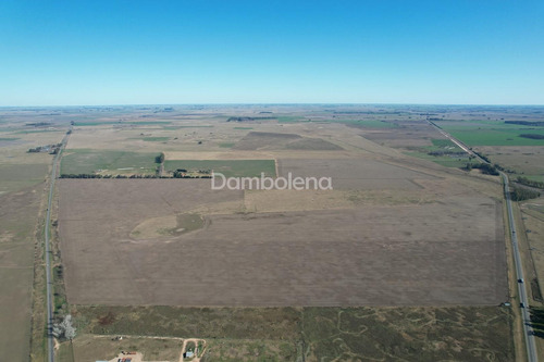 Imagen 19 de 27 de Terreno Campo En Venta En Carmen De Areco, Resto De La Provincia, Buenos Aires