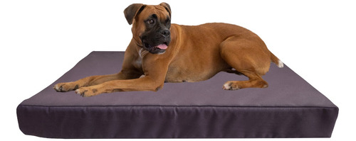 Cama Colchoneta Para Perros Lola Pets Antidesgarro 120x100cm