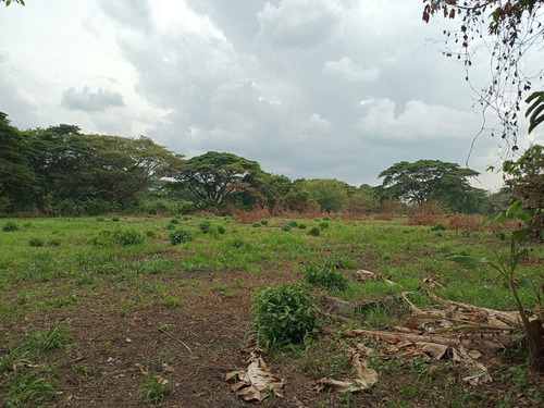 Imagen 8 de 10 de Venta De Granja En Torunos