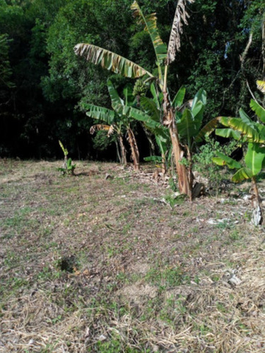 Chácara À Venda No Bairro Verava Em Ibiúna - Ch00331 - 69204733