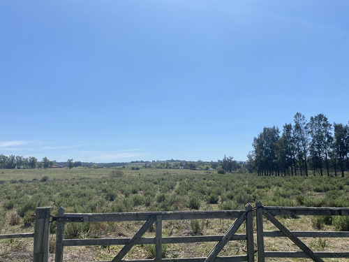 Imagen 3 de 17 de Chacra - Pueblo Edén