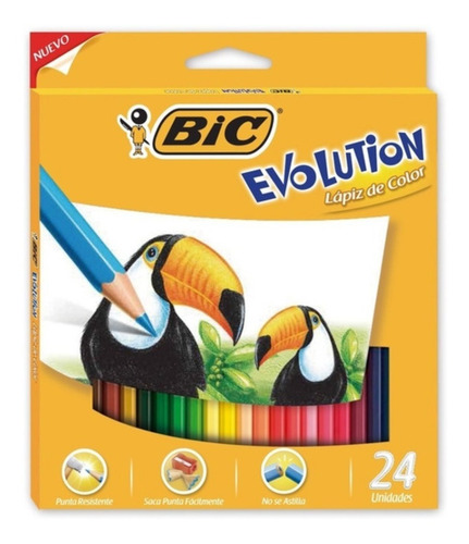 Lapices De Colores Bic Evolution Largos X 24 
