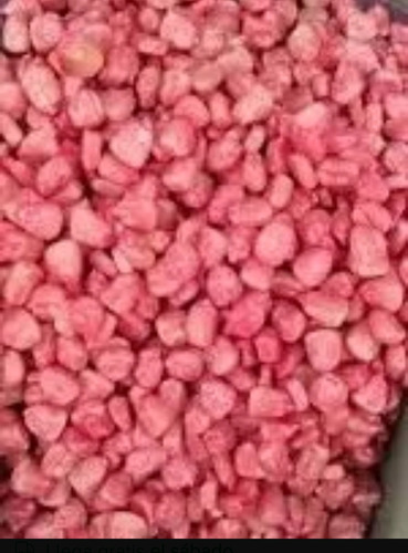 Semilla De Maíz Elotero 7573 Asgrow 1 Kg Agranel/tratamiento