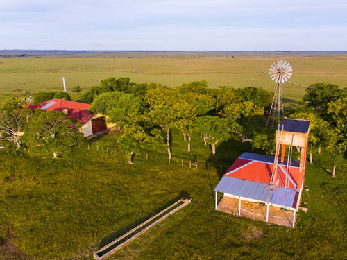 Campo En Venta En Salto Ref. 8771 (ref: Cbr-959)