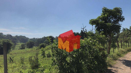 Imagem 5 de 19 de Sítio À Venda, 145200 M² Por R$ 1.550.000 - Zona Rural - Piracicaba/sp - Si0004