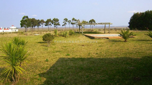 Imagen 3 de 17 de Chacra En Punta Del Este - Zona Jose Ignacio