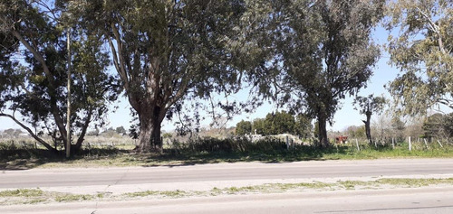 Imagen 29 de 30 de Terreno En Venta En La Plata Calle 44 Esq 177 - Dacal Bienes Raices