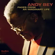 Comprar Cd Pages From An Imaginary Life - Andy Bey