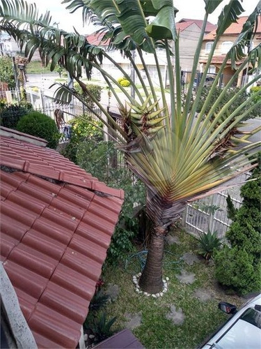 Casa 3 Dormitórios Rubem Berta - 28-im421765