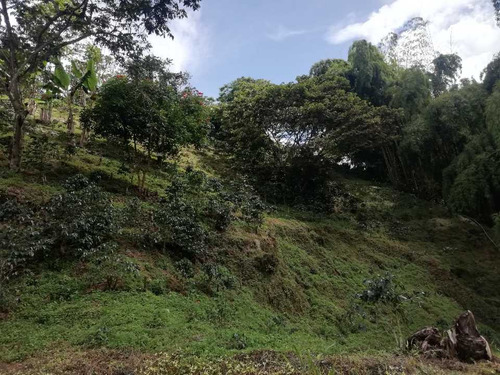 Imagen 29 de 30 de Vendo Finca En Avenida Condina Precio De Oportunidad