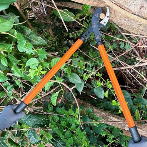 Anvil Lopper De 29 Pulgadas Con Transmisión De Sincronizació