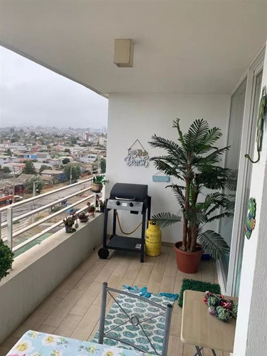 Venta Departamento Vista Al Mar Concón Las Pimpinelas