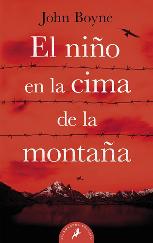 Libro: El Niño Cima Montaña/el Chico De La Cima