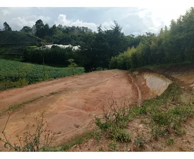 Lote y casalote en venta