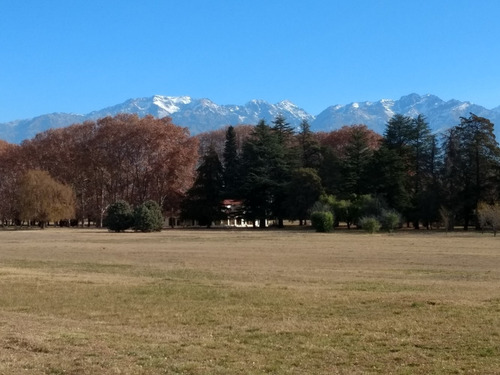 Imagen 10 de 12 de Impresionante Casa Patronal