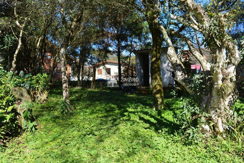 Imagem 14 de 15 de Casa 2 Dorm Itaara Com Piscina Garagem Churrasqueira - Linda Propriedade - 98793
