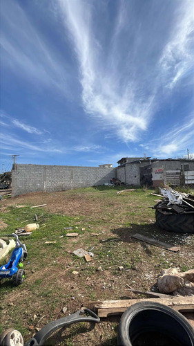 3 Terrenos En Venta En Col.roberto Yahuaca, Tj. $25,000dlls.