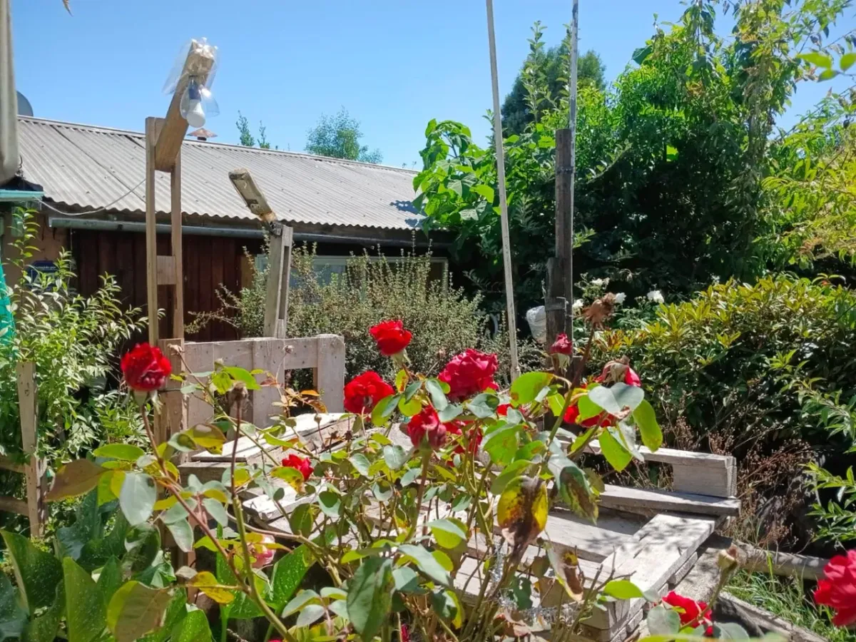 Oferta Venta En San Pablo Calle Bolivia Región Los Lagos