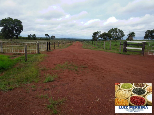 Imagem 15 de 15 de Fazenda À Venda Em Formoso Do Araguaia-to - 1.771 Hectares (dupla Aptidão) - 1618