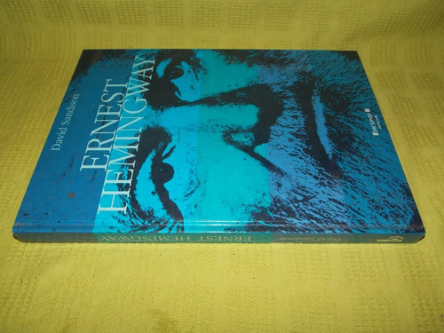 Ernest Hemingway - David Sandison - Ediciones B (Usado)