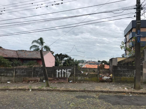 Imagem 3 de 4 de Terrenos - Ref: V1523