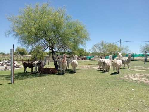Venta Lote 300m2 Finca Don Eugenio Gral Rodríguez