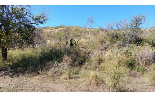 Imagen 7 de 7 de Fracción De 4.13 Ha En Falda Del Carmen. Lote N° 5