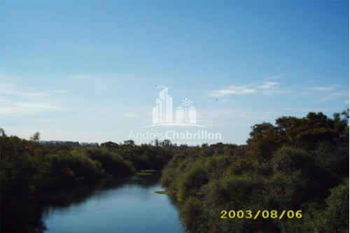Imagen 6 de 6 de 75 Has. Colonia Ayuí