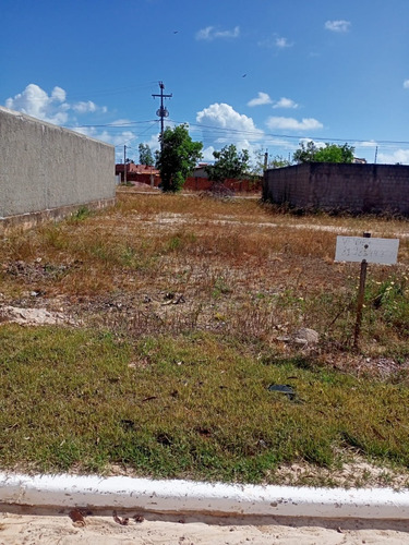Terreno Em São José Da Coroa Grande-pe
