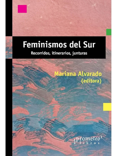 Feminismos Del Sur - Mariana Alvarado (compiladora)