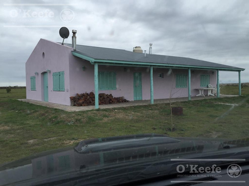 Imagen 5 de 18 de Campo 444 Has Ganadero Con 20% Aptitud Agrícola - A 3 Km De Ruta - General Lamadrid
