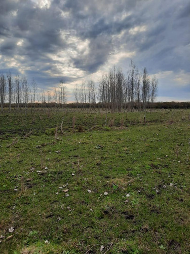 Imagen 5 de 12 de Campo En Venta, Costa Uruguay Sur 0