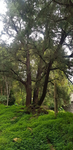 Divino Terreno En Fracc. Limoneros, Cuernavaca