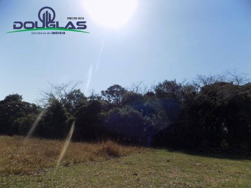 Imagem 8 de 15 de 2 Ha ,800 Mts Do Asfalto. - 845