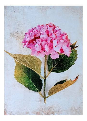 Imagen 3 de 4 de Transferencia Color Set Flores Laura Craft