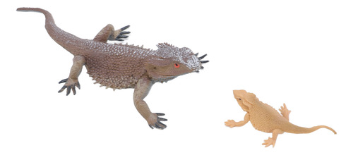 Lizard Life Cycle Model Figurine Toy Educational Interactive